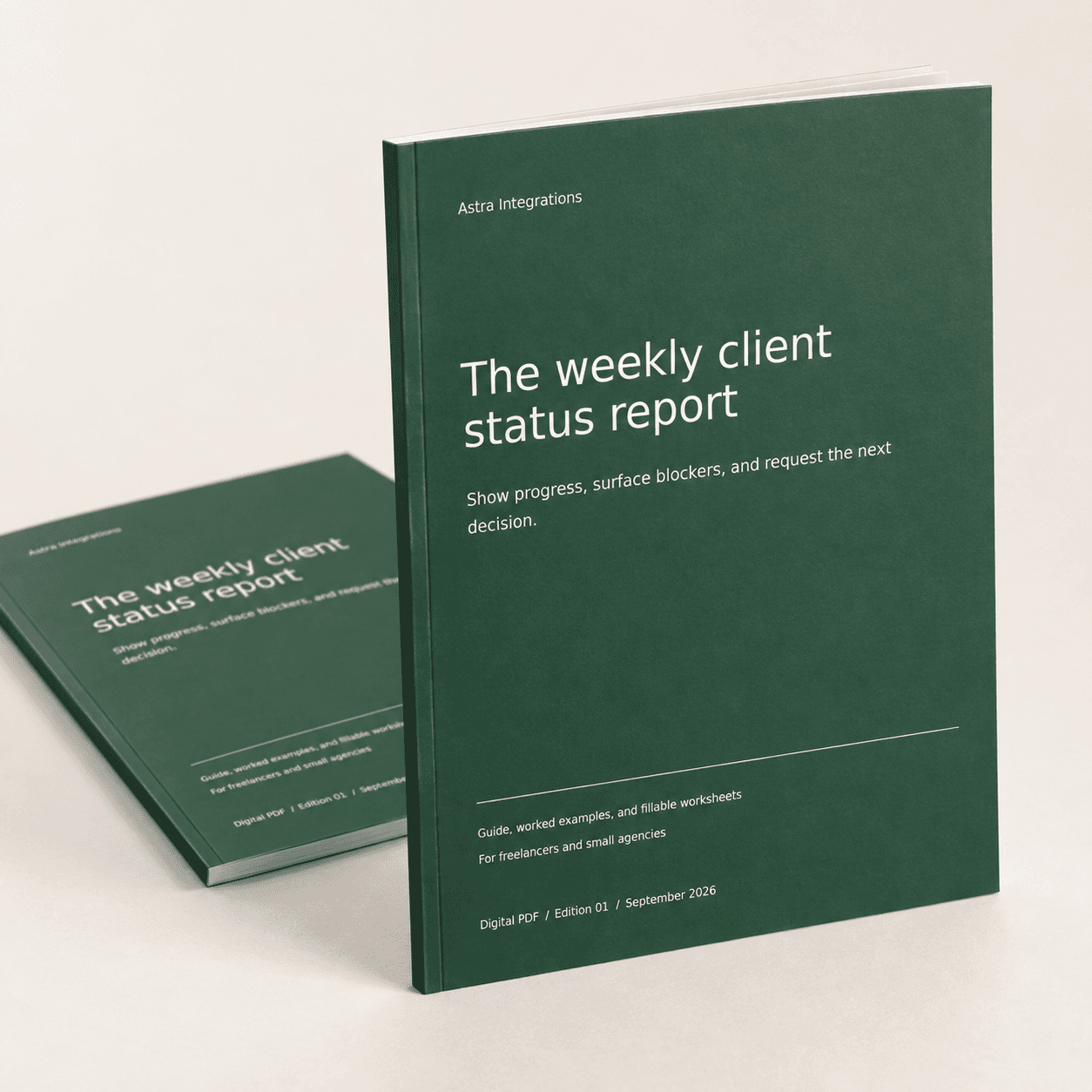 3D booklet for Weekly client status report. Digital PDF download.